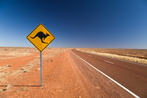 znak kangura